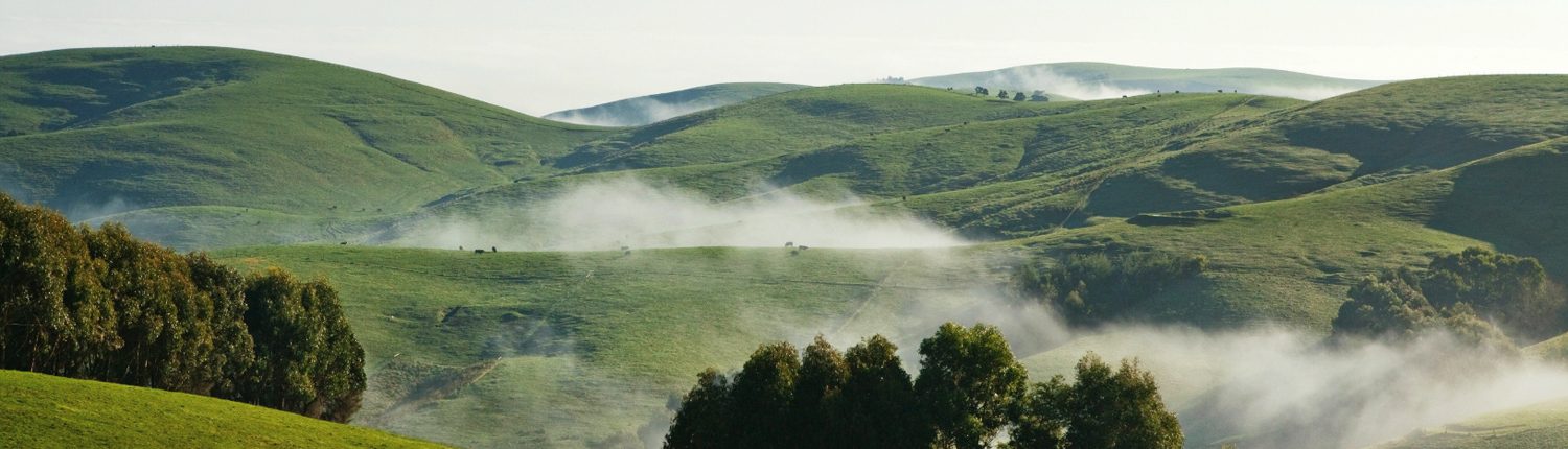 Catchment banner