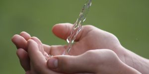 Hands cupped with water