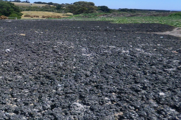 Biosolids - Westernport Water