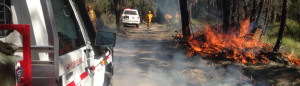 Bushfire Readiness banner2