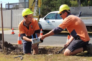 Two workers performing maintenance