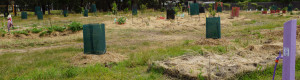 community orchard banner