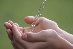 Hands cupping water