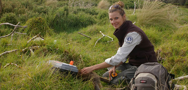 Manuela Wallaby tracking