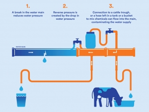 Backflow prevention infographic