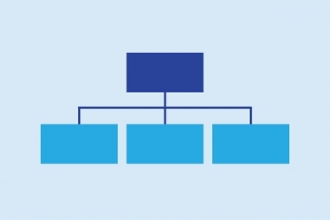 Organisation chart