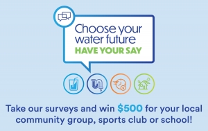 Choose your water future - have your say