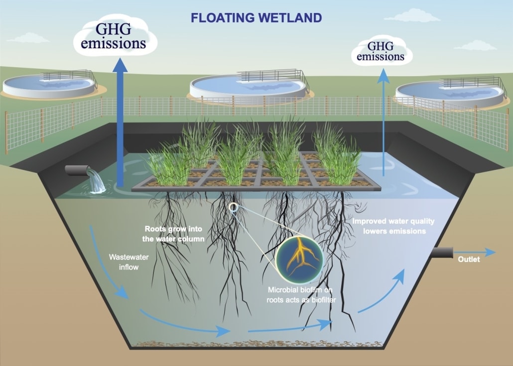 Diagram of floating wetlands