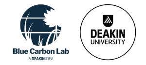 Blue Carbon Lab logo