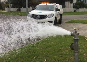 water gushing from a mains pipe on a street