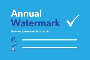 Annual Watermark report