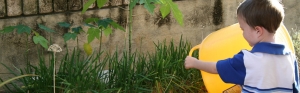Water saving tools