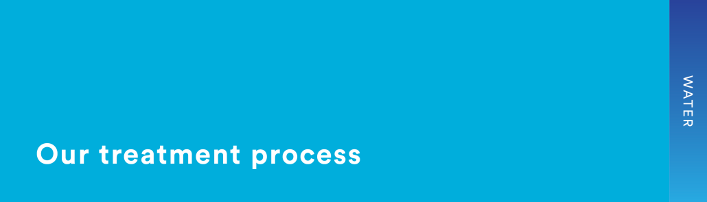 Our treatment process